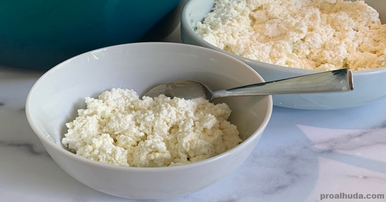 Cottage Cheese Has Many Health Benefits